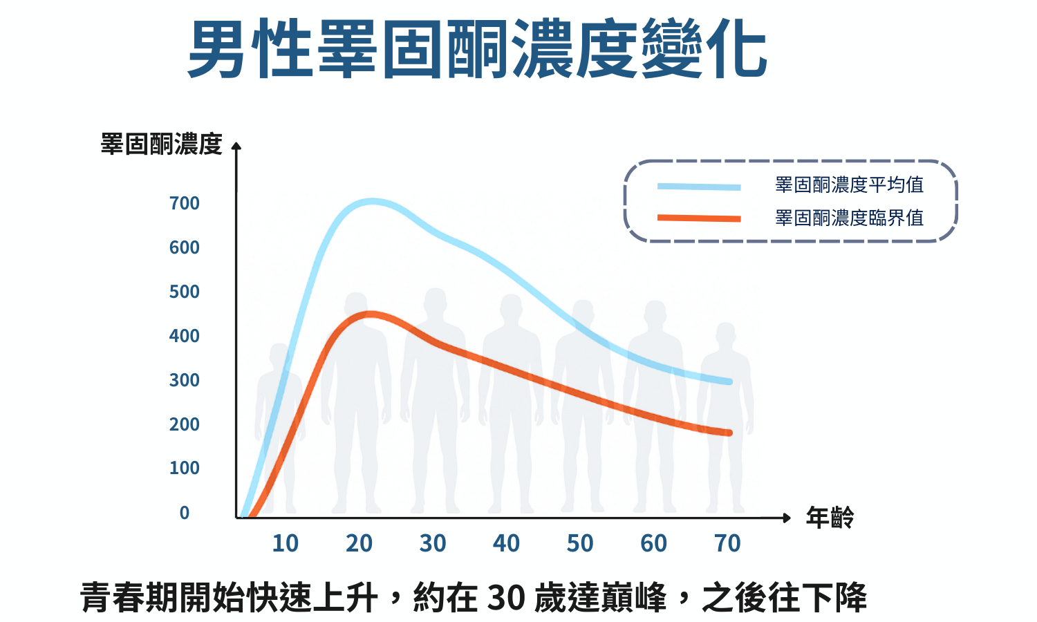 男性睪固酮濃度變化
