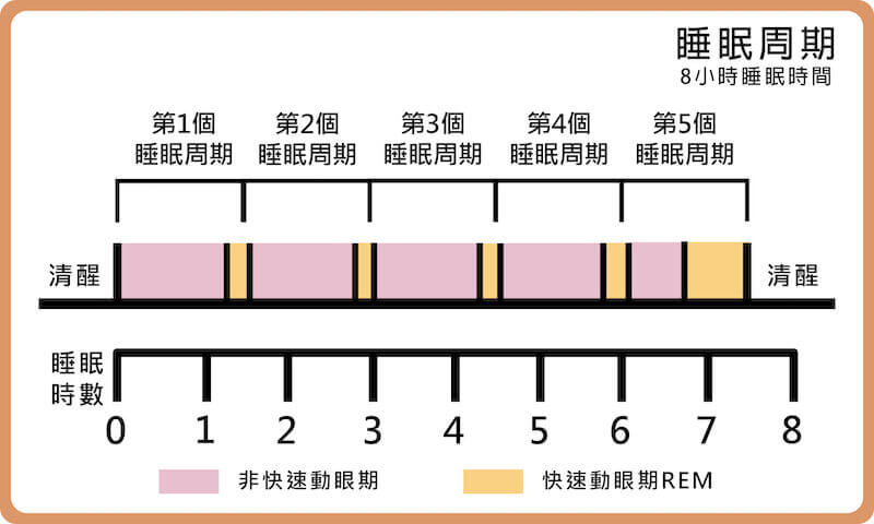 REM睡眠多出現在後半段睡眠，太早起床會喪失大部分的快速動眼期睡眠；相對的，熬夜晚睡則會減少前段睡眠的深層睡眠時間