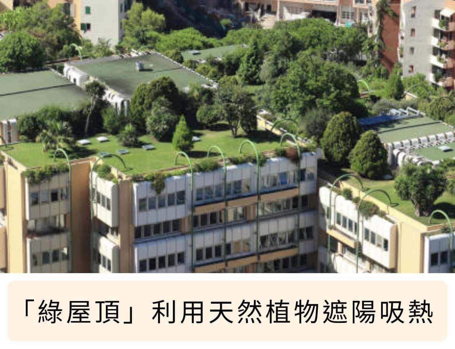 「綠屋頂」利用天然植物遮陽吸熱