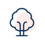 乳膠源自天然橡膠樹汁液的純天然乳膠icon圖示