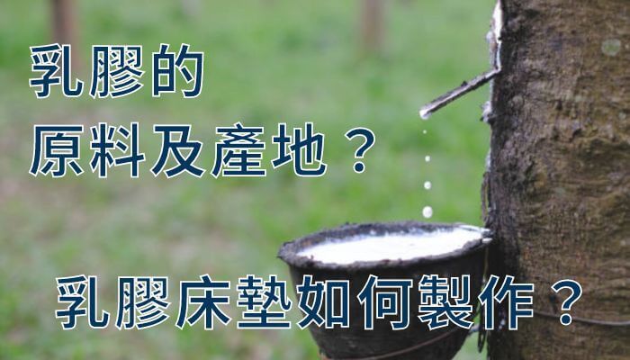 乳膠的原料及產地？乳膠床墊如何製作？