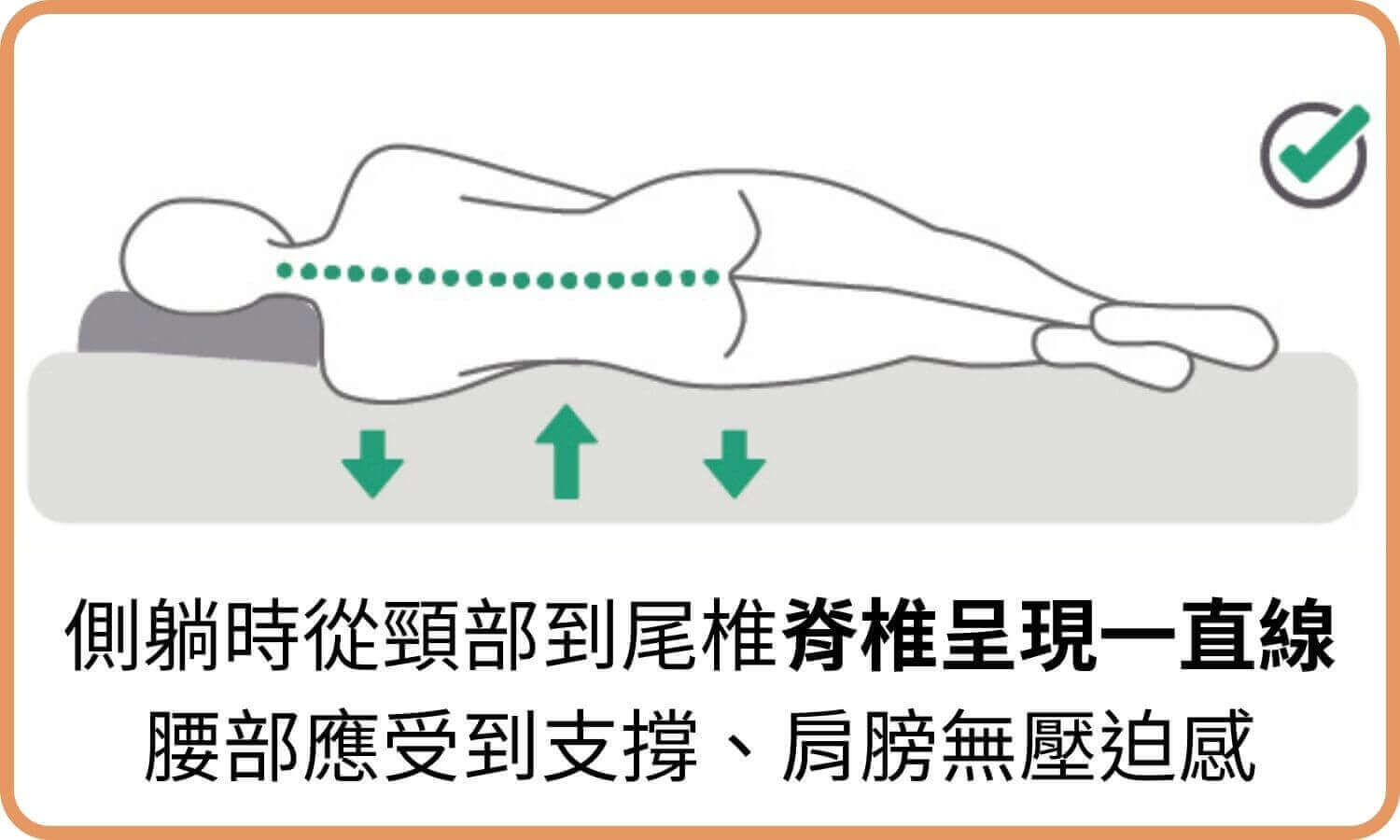 側躺時從頸部到尾椎脊椎呈現一直線，腰部應受到支撐、肩膀無壓迫感