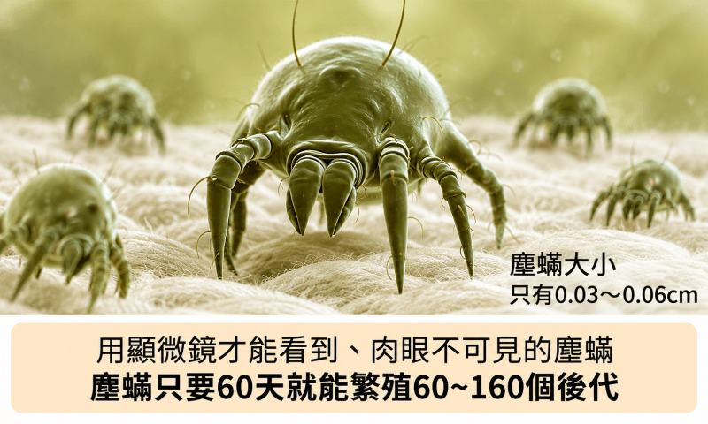 塵蟎必須用顯微鏡才能看到、肉眼不可見的塵蟎，只要60天就能繁殖60160個後代
