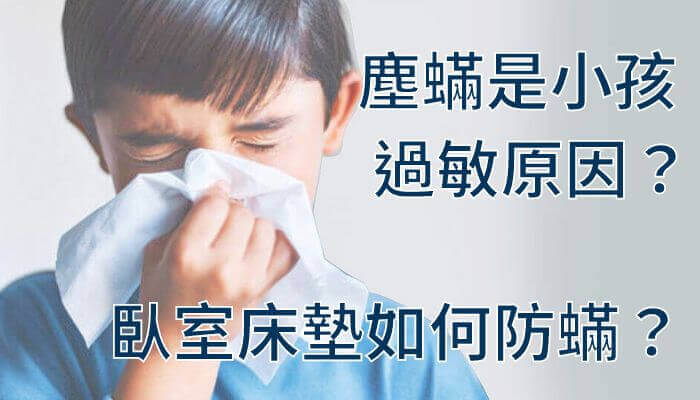 塵蟎是小孩過敏原因？臥室床墊如何防蟎？