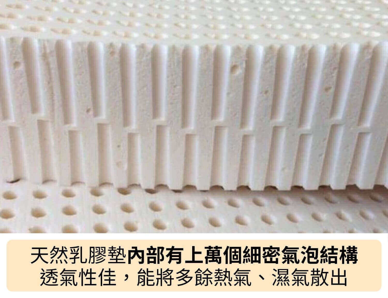 天然乳膠墊內部有上萬個細密氣泡結構，因此透氣性很好，能將多餘熱氣、濕氣散出