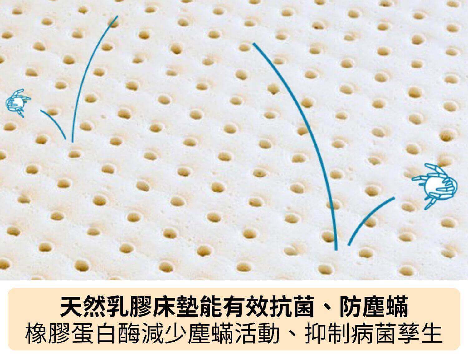天然乳膠床墊能有效抗菌、防塵蟎，含有橡膠蛋白酶能減少塵蟎活動、抑制病菌孳生