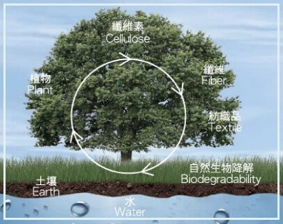 天絲製作過程環保無毒