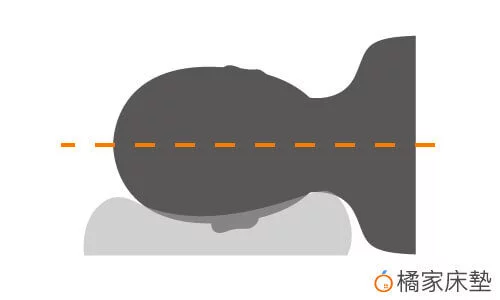 好的枕頭側睡時脊椎會呈現水平
