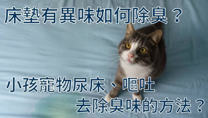 床墊有異味如何除臭？小孩寵物尿床、嘔吐去除臭味的方法？