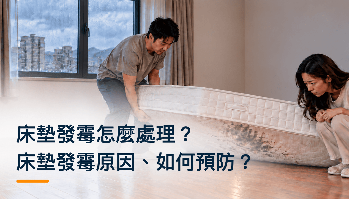 床墊發霉怎麼處理？床墊發霉原因、如何預防？精選圖片