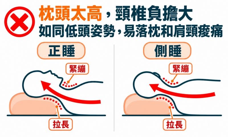 枕頭太高，無論正睡或側睡對頸椎的負擔都很大，容易落枕肩頸酸痛