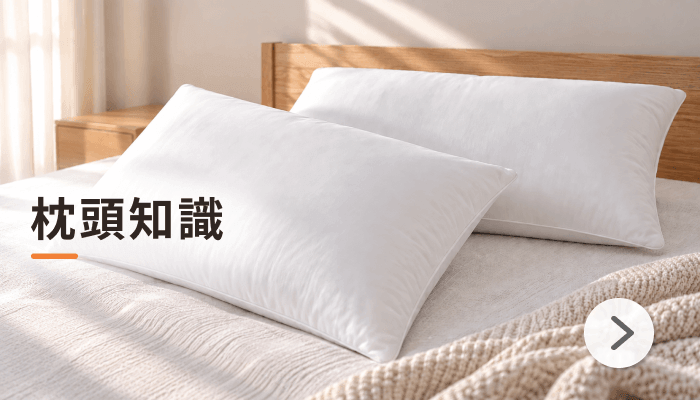 枕頭知識
