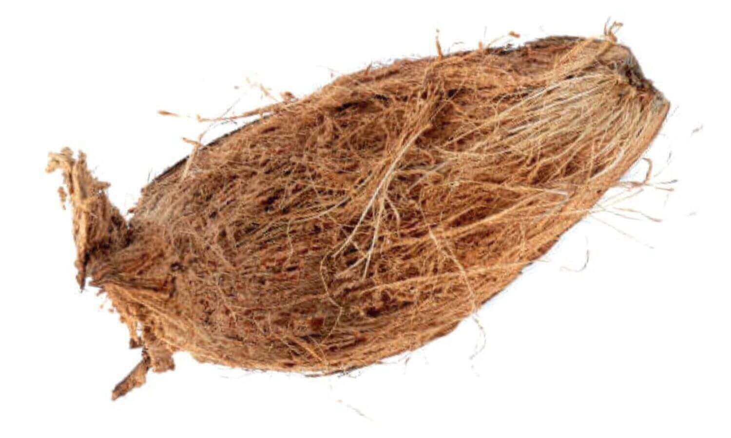 椰棕床墊材料來自椰子殼纖維