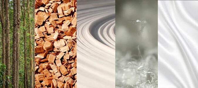 樹林木塊木漿纖維布