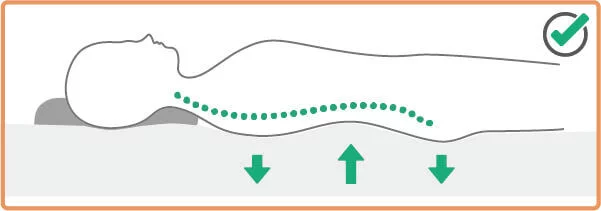 正躺時脊椎曲線與站立時的曲線一樣呈現Ｓ型