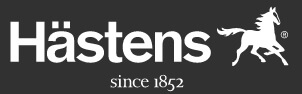 海斯騰Hastens logo