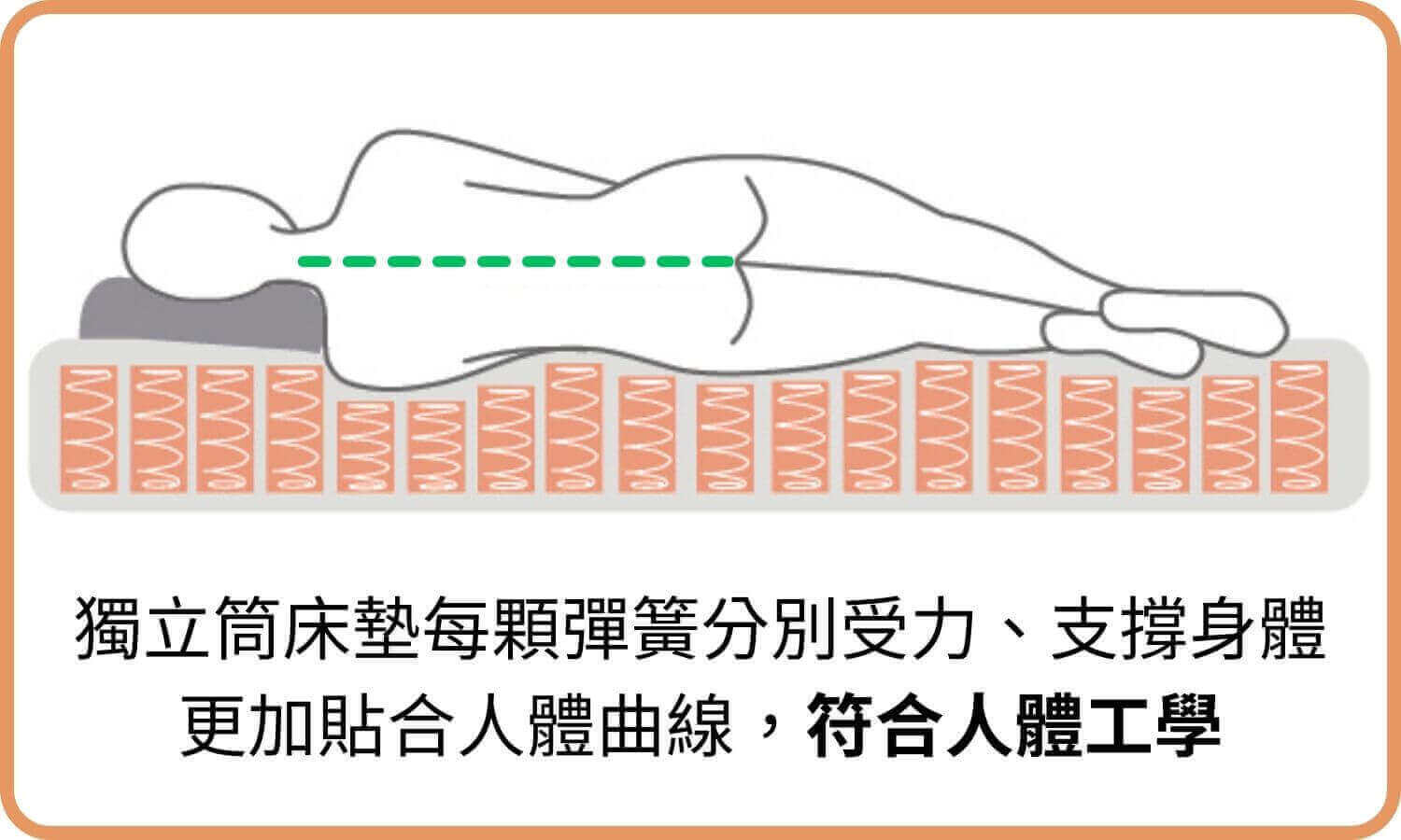 獨立筒床墊每顆彈簧分別受力、支撐身體，更加貼合人體曲線，符合人體工學