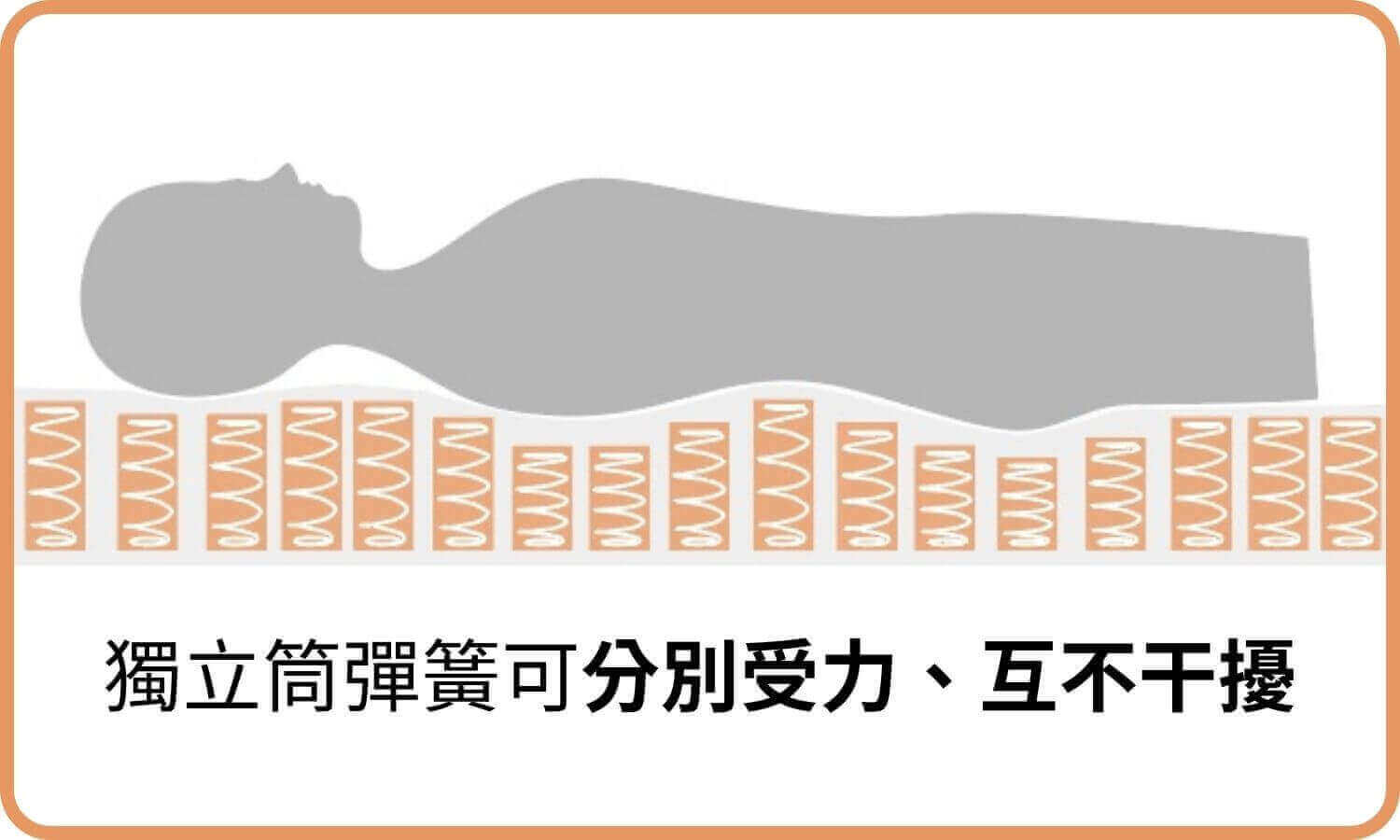 獨立筒彈簧可分別受力、互不干擾