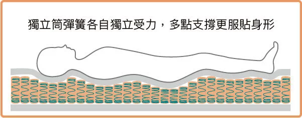獨立筒彈簧各自獨立受力，多點支撐更服貼身形