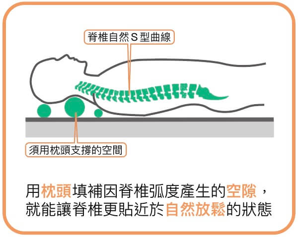 用枕頭填補因脊椎弧度產生的空隙 就能讓脊椎更貼近於自然放鬆的狀態