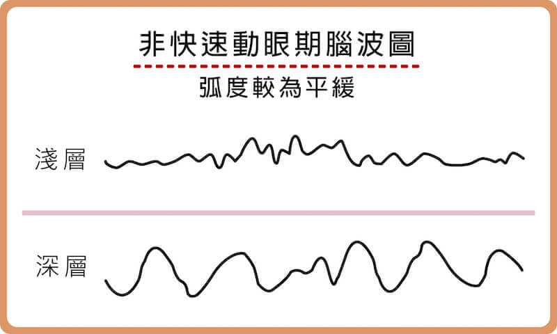 非快速動眼期，腦波較平緩穩定