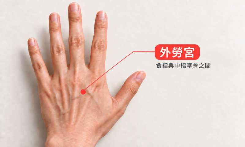 舒緩落枕穴道名稱為外勞宮，位於手背接近食指與中指末端關節中間處的下方1公分位置