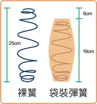 裸彈簧與獨立筒彈簧高度比較