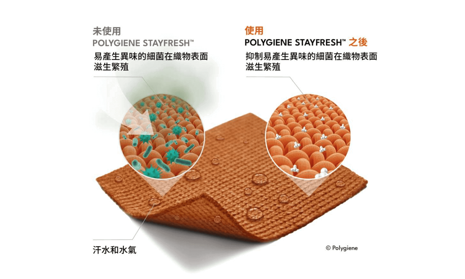 Polygiene 除臭、消氣味原理